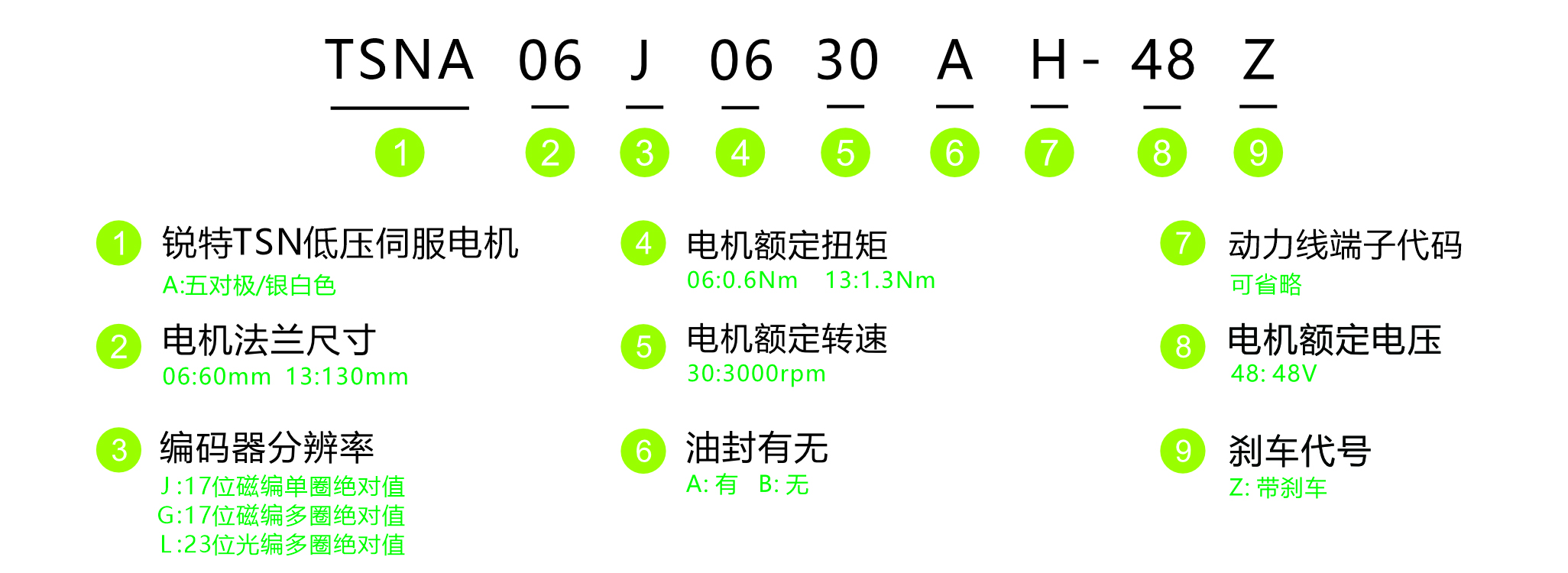 图层 1 拷贝